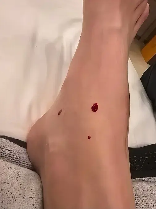 entit, amp, 经过去了半