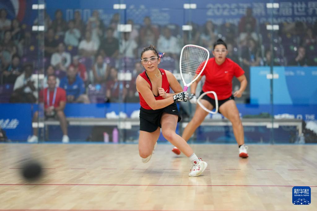 当日, 丨短柄墙球, msn 当日, 丨短柄墙球, msn