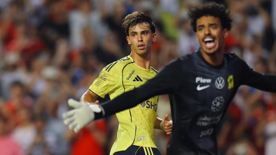 自己的同胞 自己的同胞