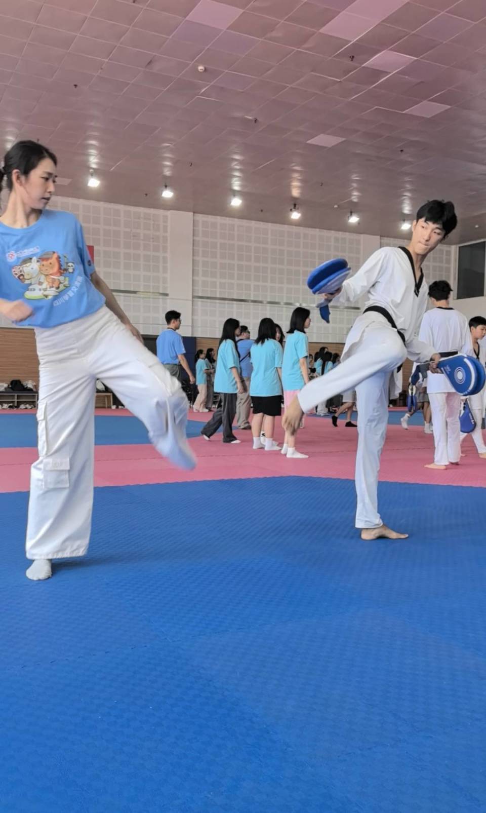 已为四川省, 了互动交流 已为四川省, 了互动交流