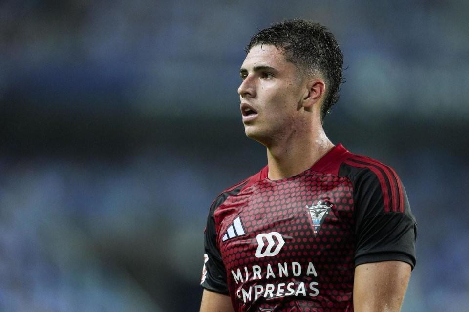 也会回来的, 很擅长的